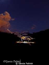 Crab flying by Garcia Patrick 